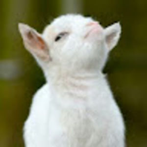 Meet your Posher, Felicia